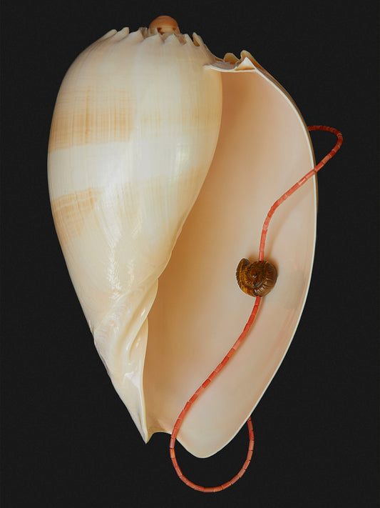 Nautilus Tigers Eye Necklace in Coral