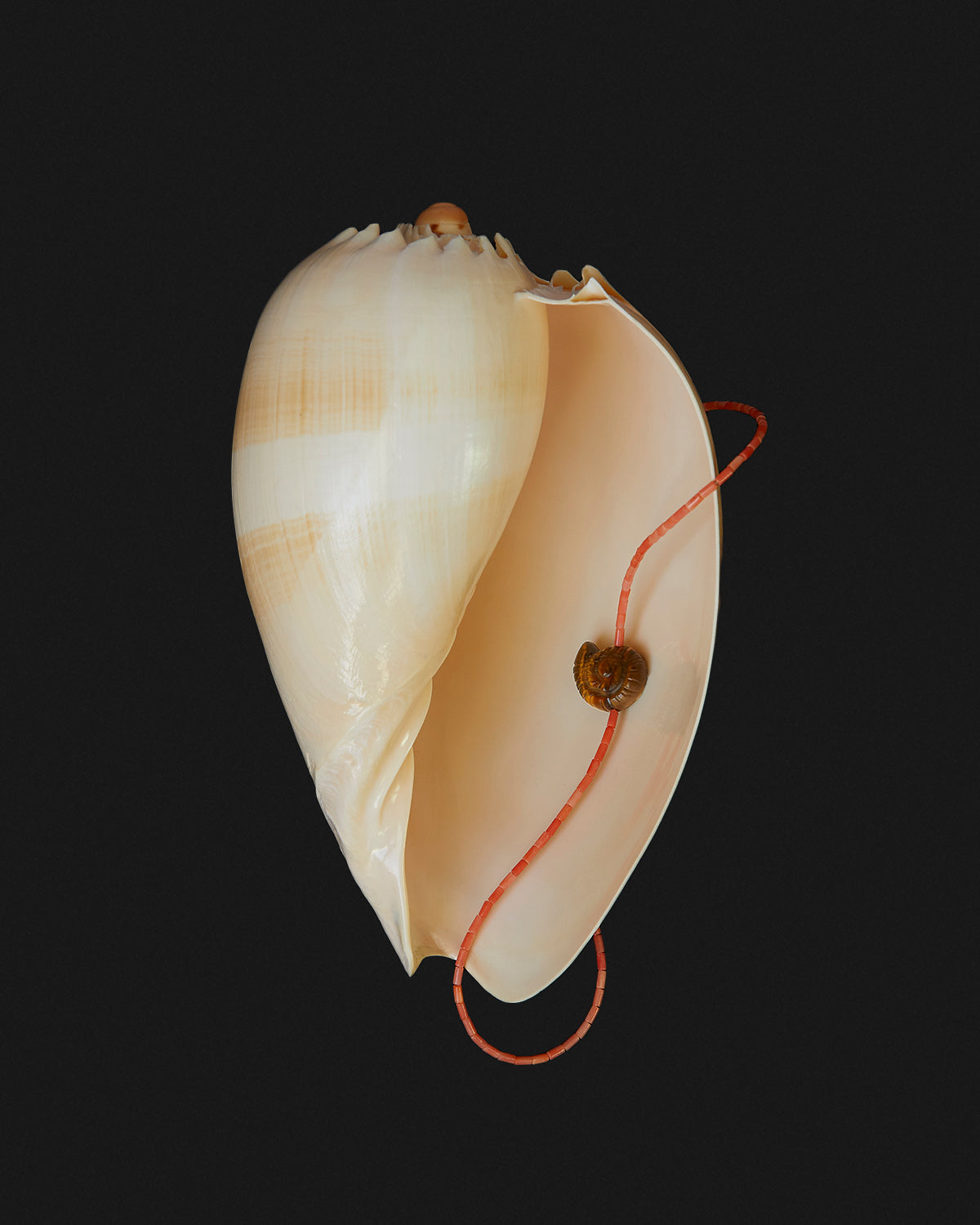 Nautilus Tigers Eye Necklace in Coral